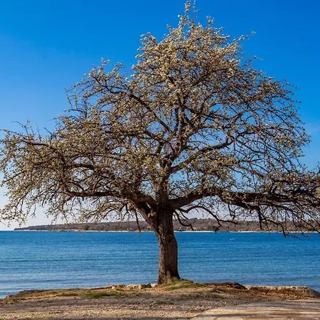 Cervar Superior * Porec